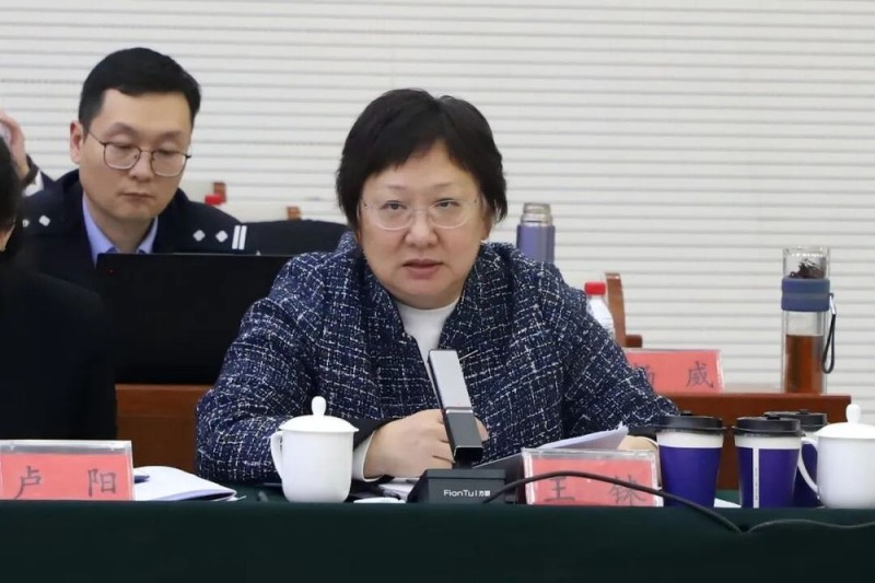 观澜知源 共绘“金析为证”新蓝图