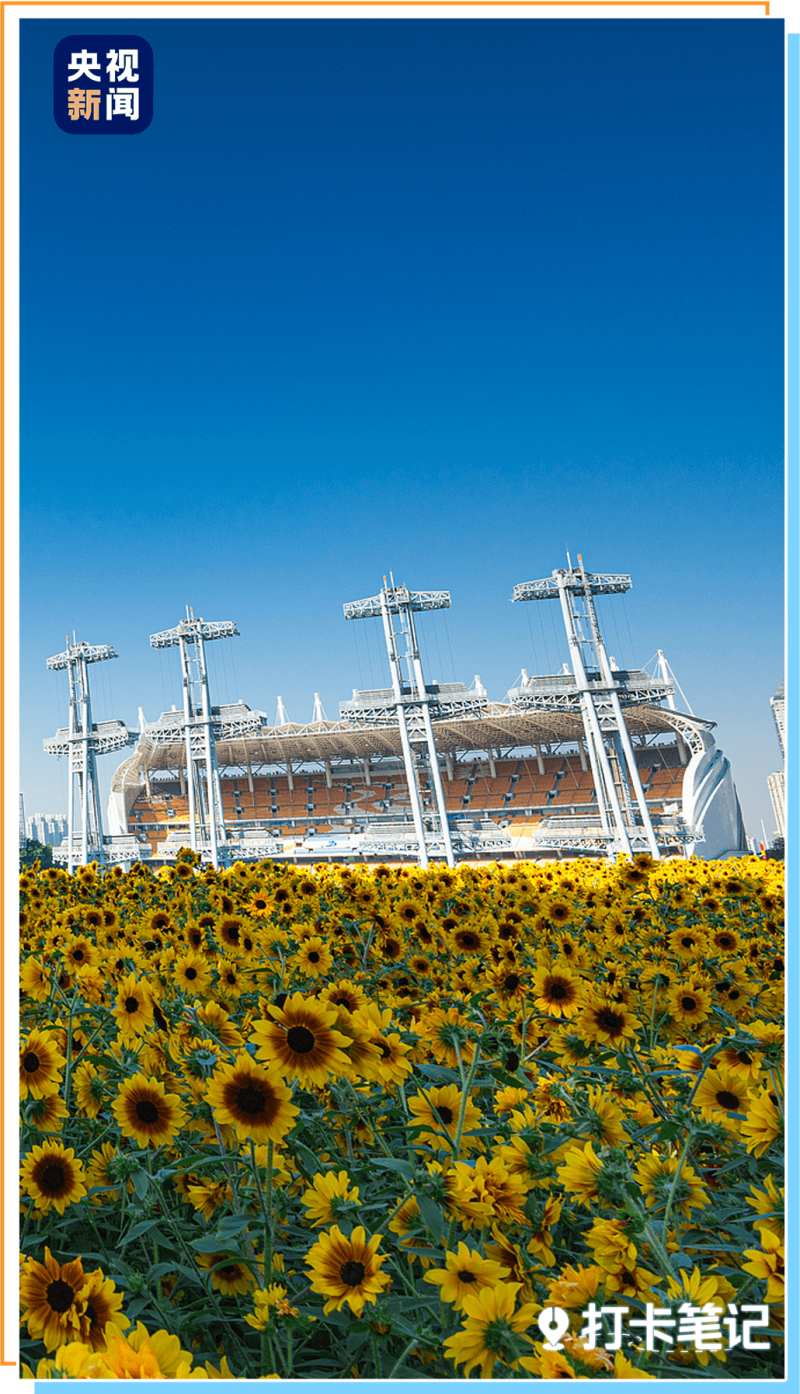 去粤港澳这篇就够了!最新指南→