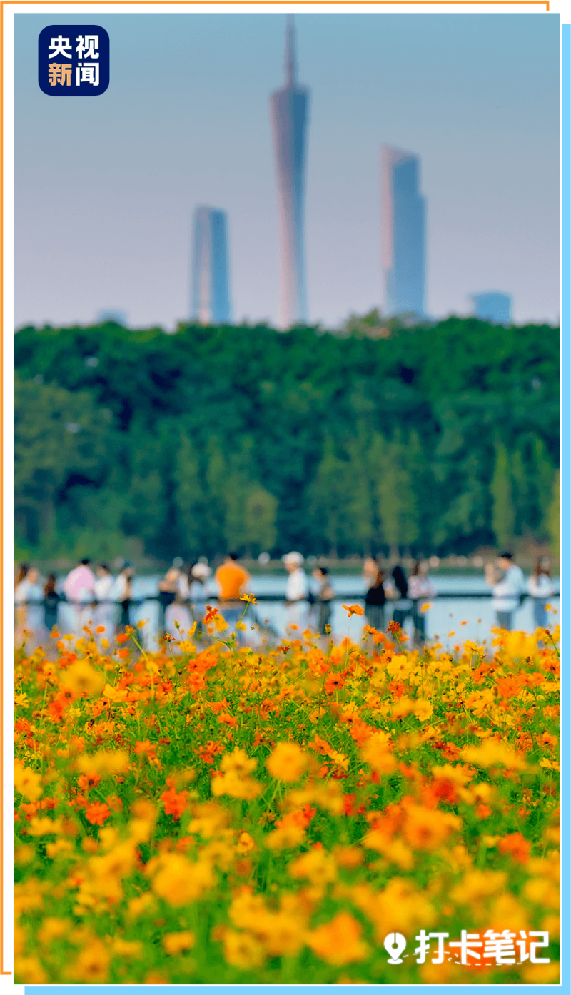 去粤港澳这篇就够了!最新指南→