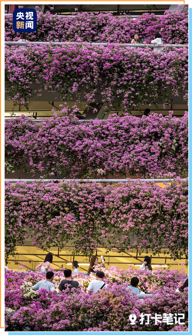 去粤港澳这篇就够了!最新指南→