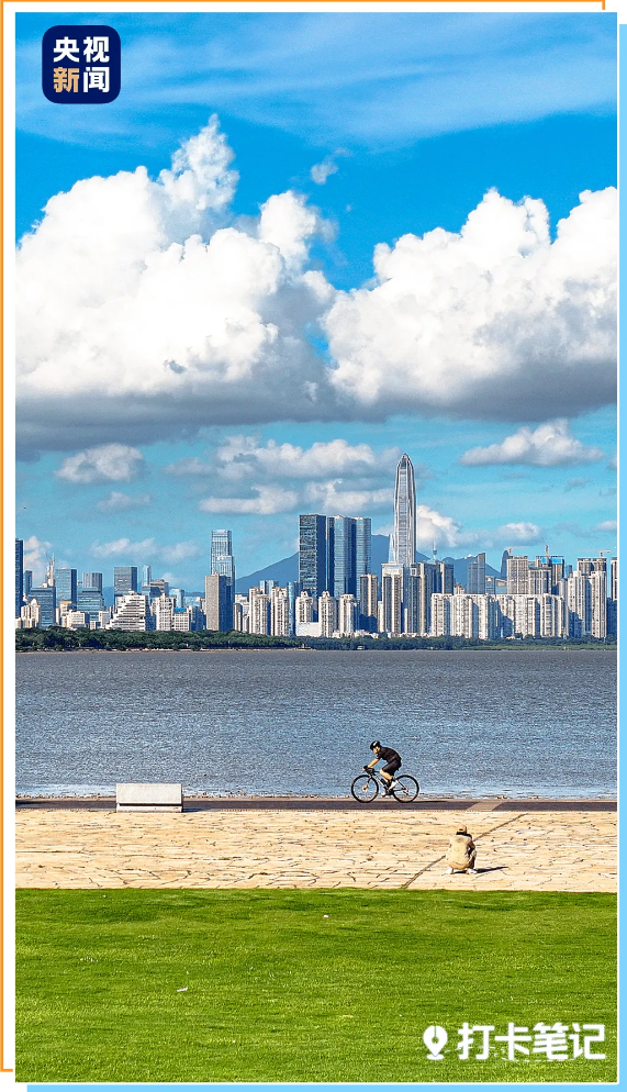 去粤港澳这篇就够了!最新指南→