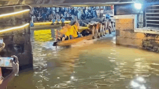 去粤港澳这篇就够了!最新指南→