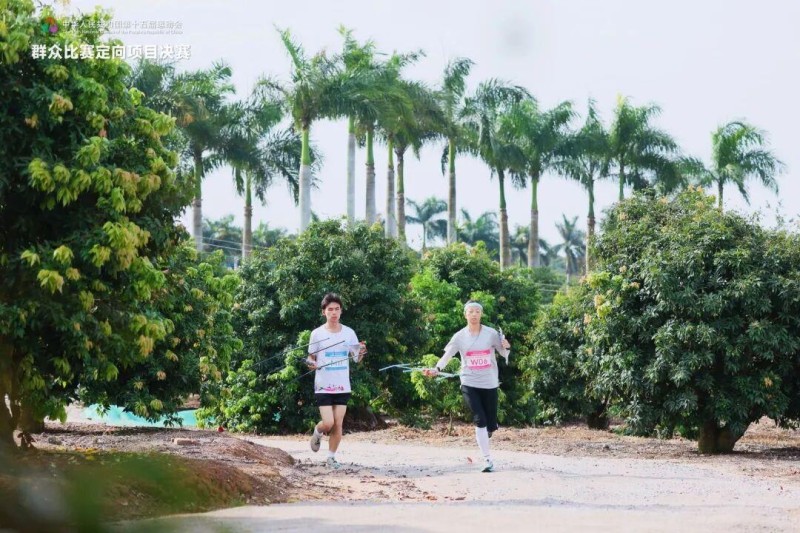 去粤港澳这篇就够了!最新指南→