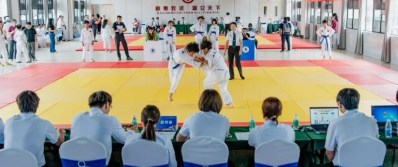 去粤港澳这篇就够了!最新指南→