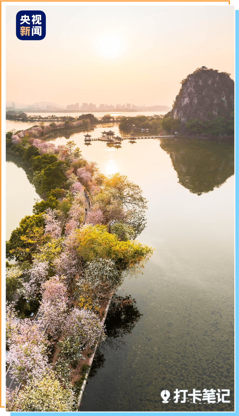 去粤港澳这篇就够了!最新指南→