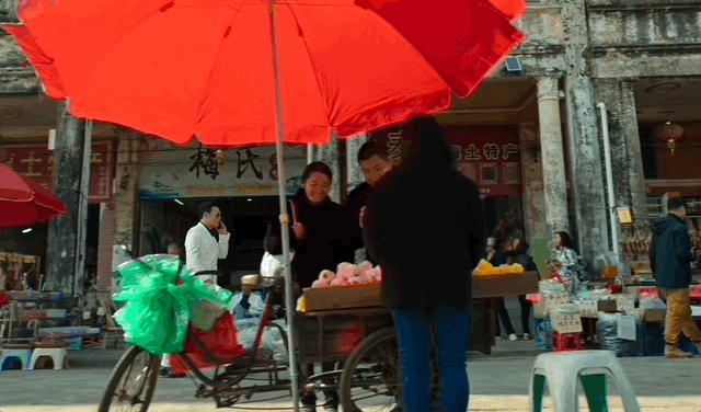 去粤港澳这篇就够了!最新指南→