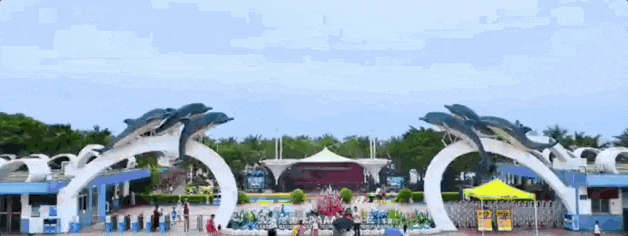 去粤港澳这篇就够了!最新指南→