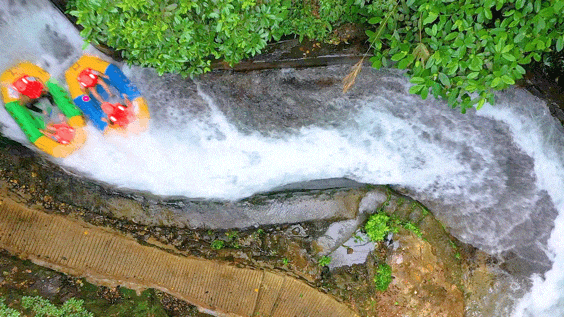 去粤港澳这篇就够了!最新指南→