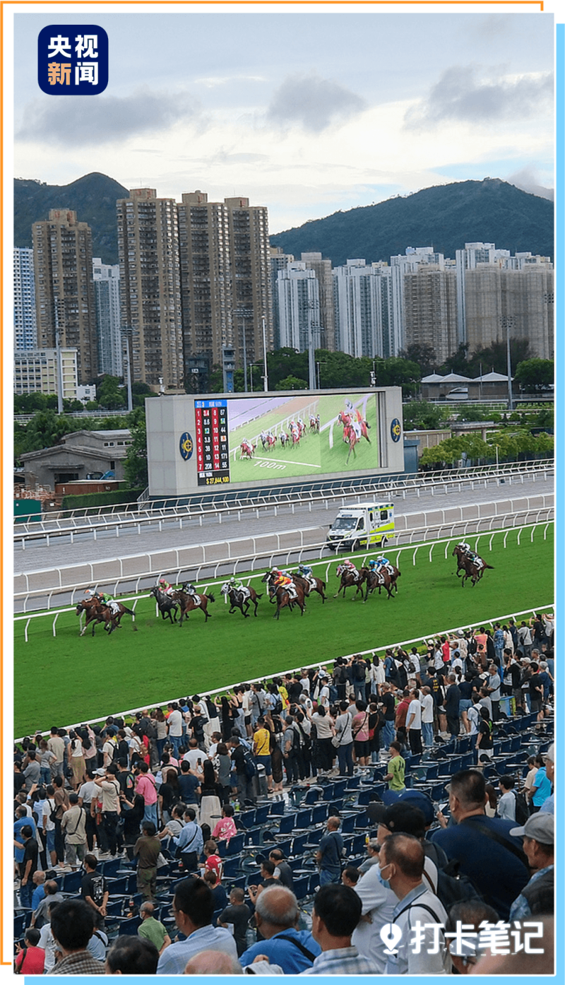 去粤港澳这篇就够了!最新指南→