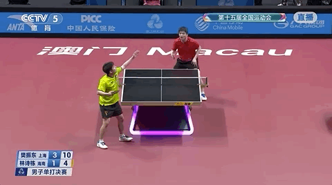 去粤港澳这篇就够了!最新指南→