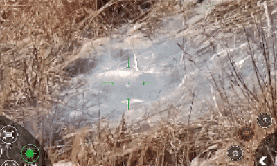 视频丨无人潜航器、磁探机器狗组团出击 实训现场画面公布