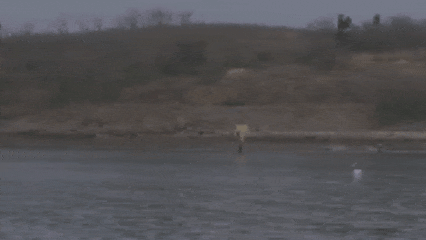 视频丨无人潜航器、磁探机器狗组团出击 实训现场画面公布