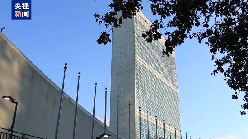 视频丨美专家：高市错误言论意在转移日本公众视线