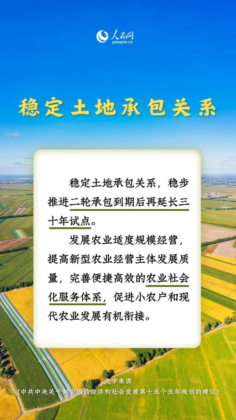 热词里的“十五五”丨这些“三农”关键词，透露增收新路径