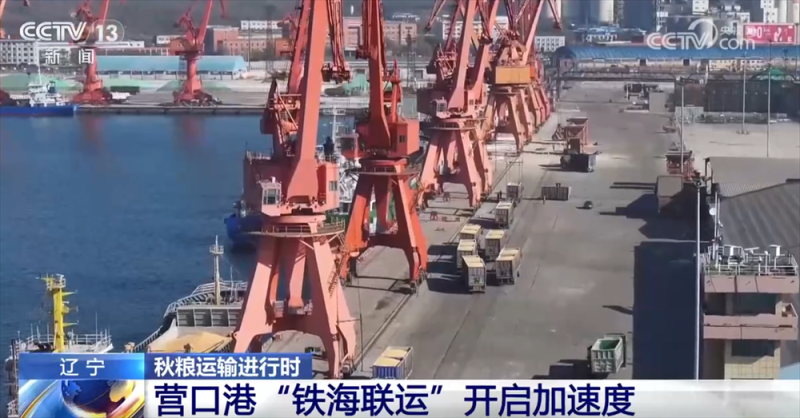 “铁海联运”“黄金水道”按下秋粮运输“加速键” 为全国粮食安全筑牢坚实屏障