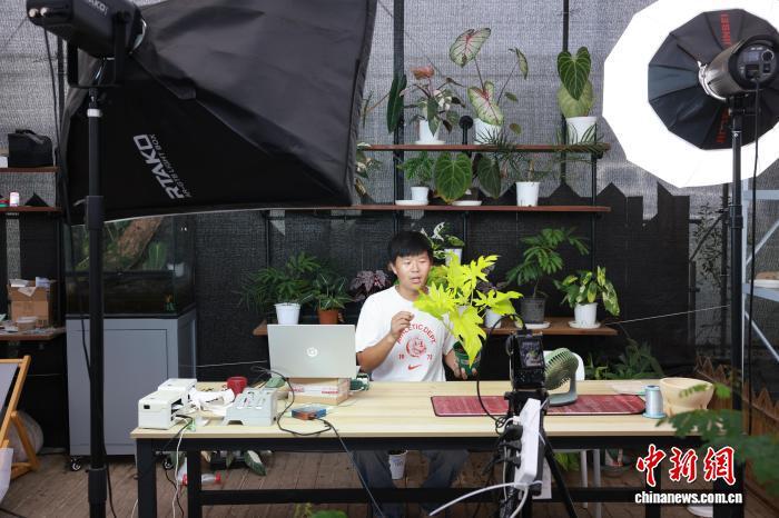 绿植成年轻人“新潮玩” 生活美学改写产业生态-中新网