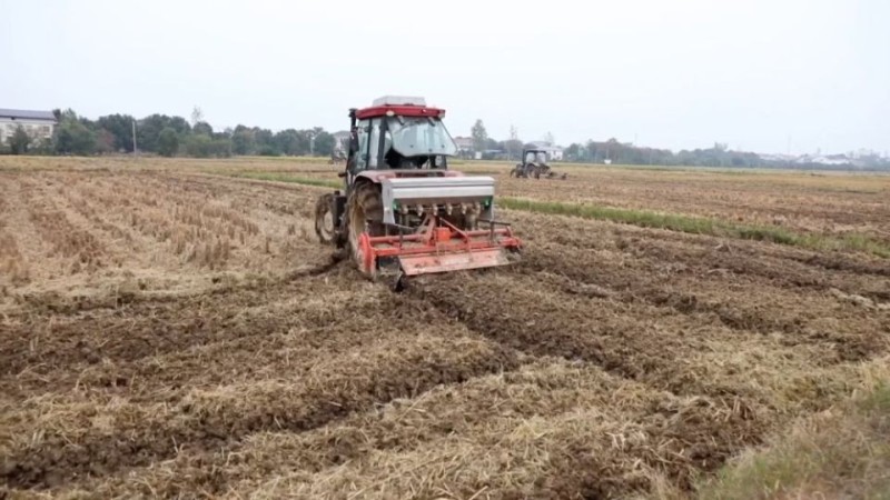 新华视点丨乡村振兴路 绿色富民图