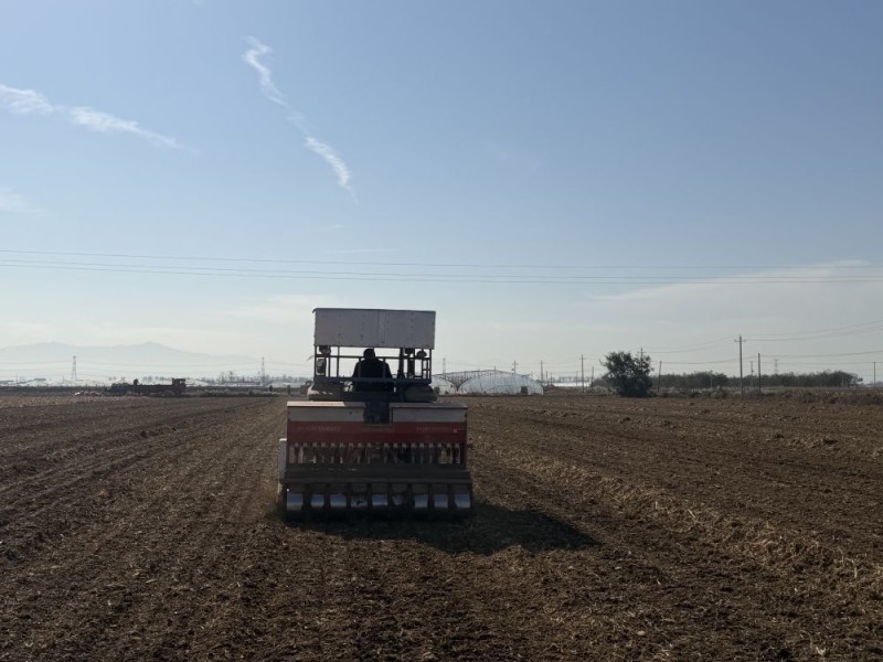 今冬不放松，来年“丰”可期――多地冬种及田间管护见闻