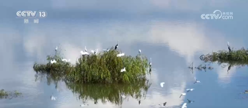 特色赏秋游热潮澎湃 “文旅+”新场景新业态激发“秋日经济”活力