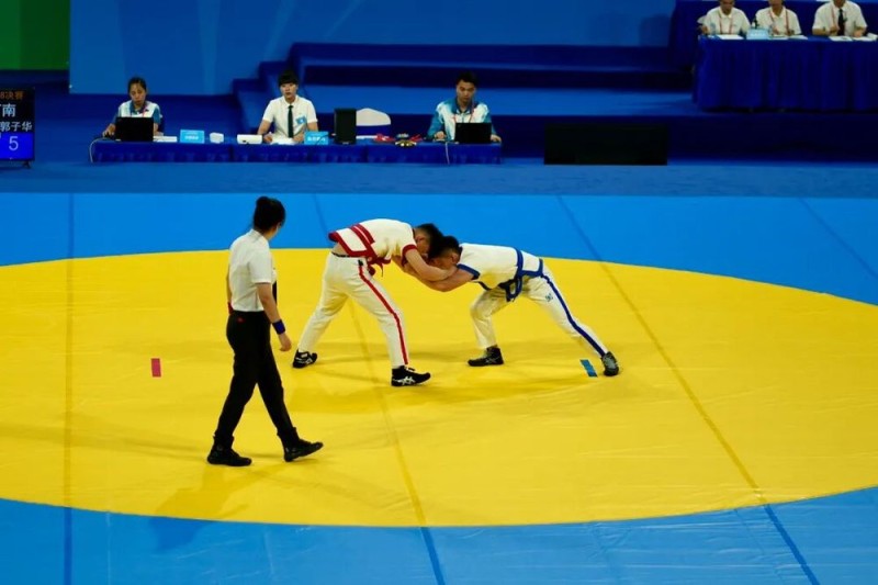 十五运会，为何没有奖牌榜？