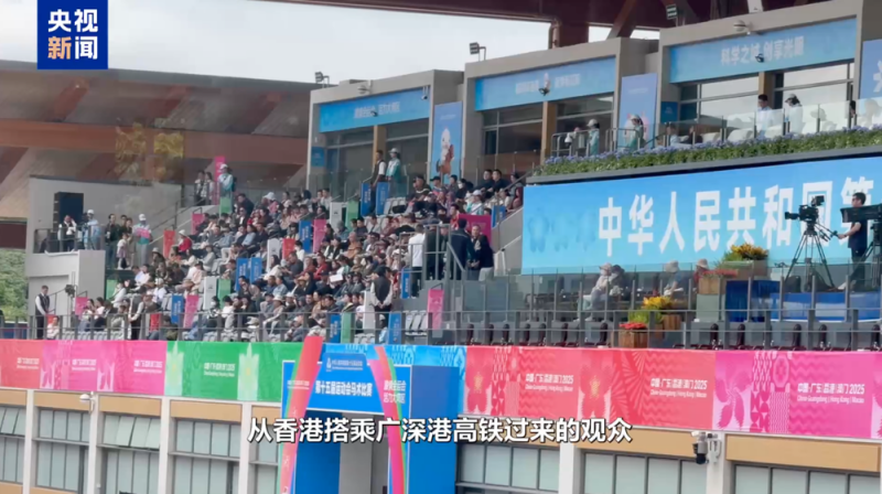 志愿者Vlog丨“马”上有戏!香港“小海豚”解锁湾区融合新姿势