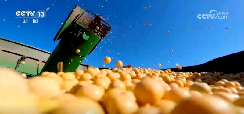 机器人上阵、强化服务……各地多措并举护航秋粮收购“加速跑”