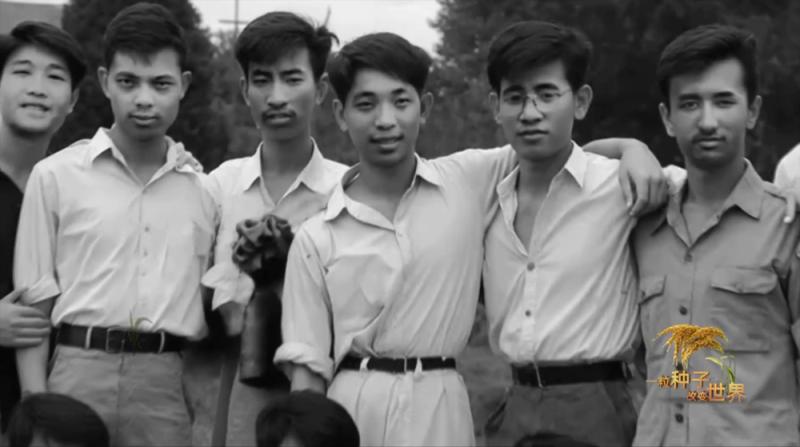 稻浪千里 禾下苍穹丨纪录片《一粒种子改变世界》即将播出