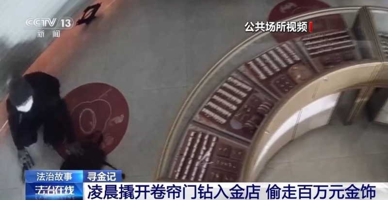 法治在线丨百万金饰被藏隐秘的角落 警方靠两分钟犬吠声破案