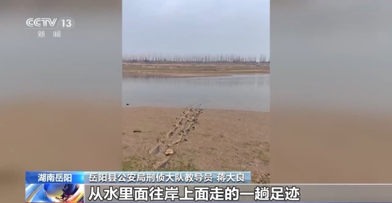 法治在线丨百万金饰被藏隐秘的角落 警方靠两分钟犬吠声破案