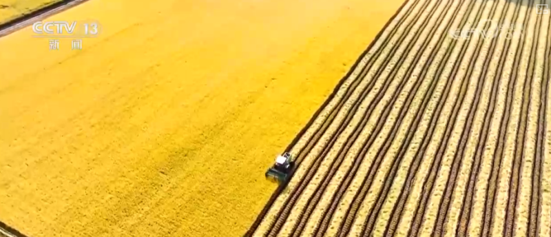 “硬投资”“软建设”协同发力 多维度透视“两重”建设阶段性成果