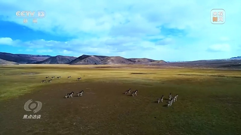 焦点访谈丨应对气候变化 中国以行动与承诺引领全球治理