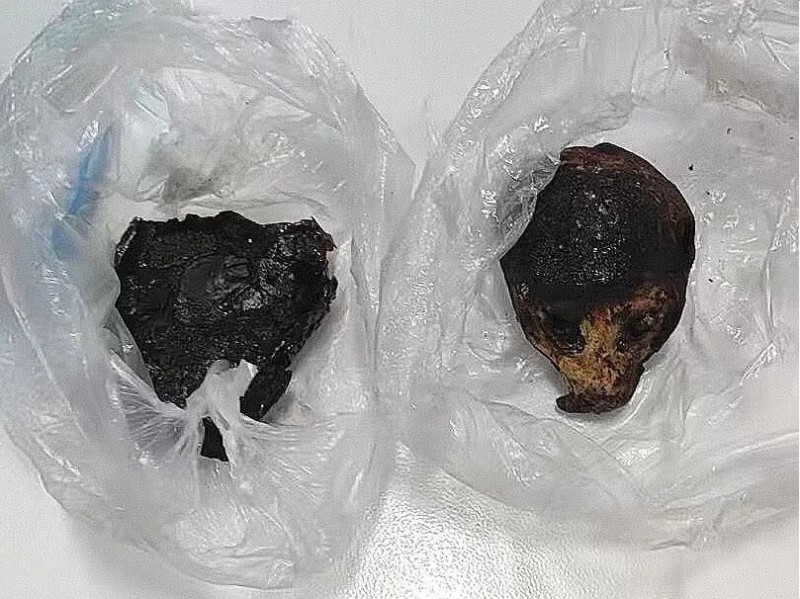 昆明海关所属瑞丽海关查获蜂猴制品105克