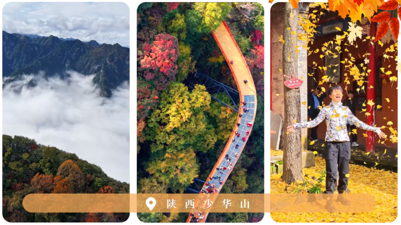 文化中国行｜赏秋正当时！“文旅+”新业态为秋日经济注入新活力