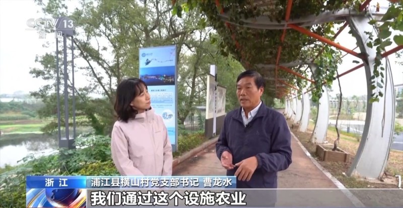 视频丨以水破题 浙江用“亲水圈”勾勒出乡村共富圈