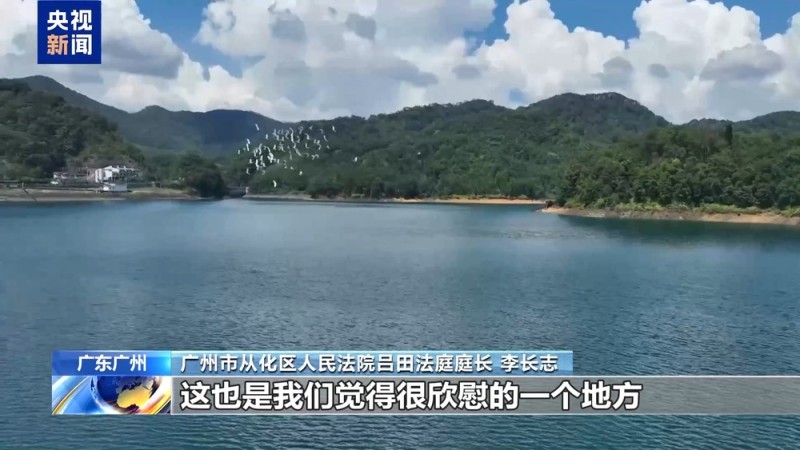 光阴的故事丨行走的天平 “森林法官”多跑“一公里”守护绿水青山