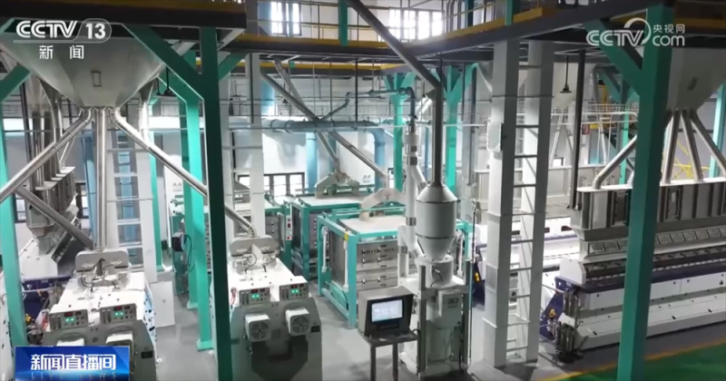 “铁海联运”“黄金水道”按下秋粮运输“加速键” 为全国粮食安全筑牢坚实屏障