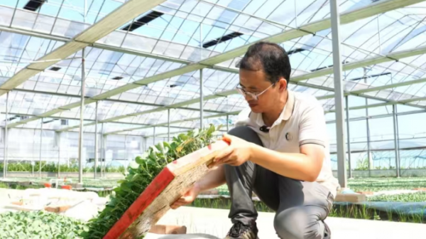 【理响中国・一线探新】探寻诗意嘉鱼的绿色富民密码