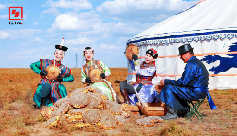 开播！《花开又一程》带来老友旅居生活秀