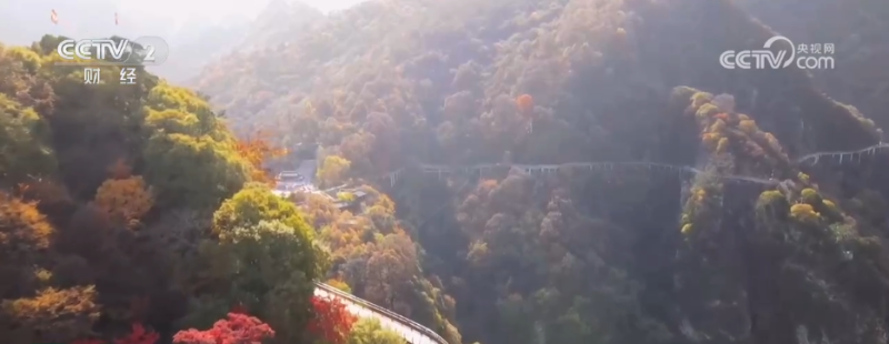 “秋日经济”活力满满 “赏秋+”催动文旅消费“热”力四射