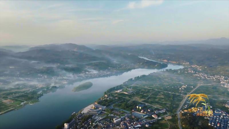 稻浪千里 禾下苍穹丨纪录片《一粒种子改变世界》即将播出