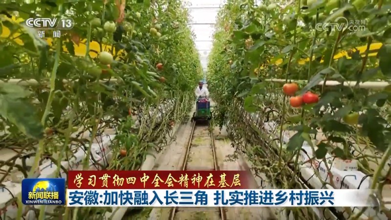 【学习贯彻四中全会精神在基层】贵州:挖掘文旅资源 激发乡村发展活力 安徽:加快融入长三角 扎实推进乡村振兴