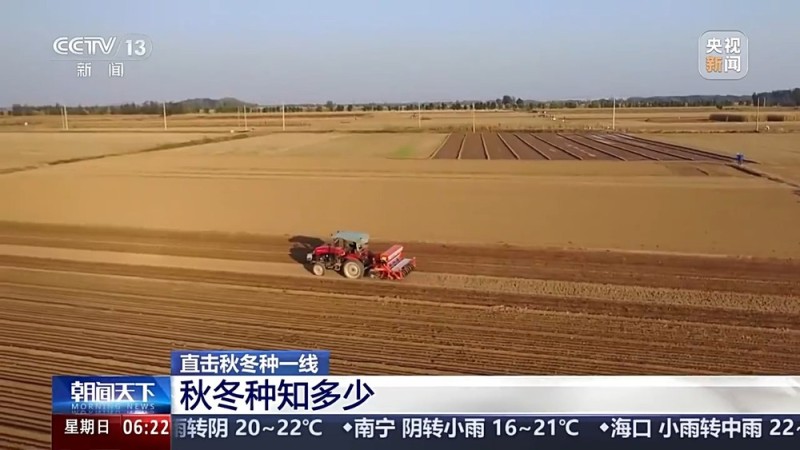 视频丨如何种好“过冬客人”冬小麦？专家介绍三个播种技巧