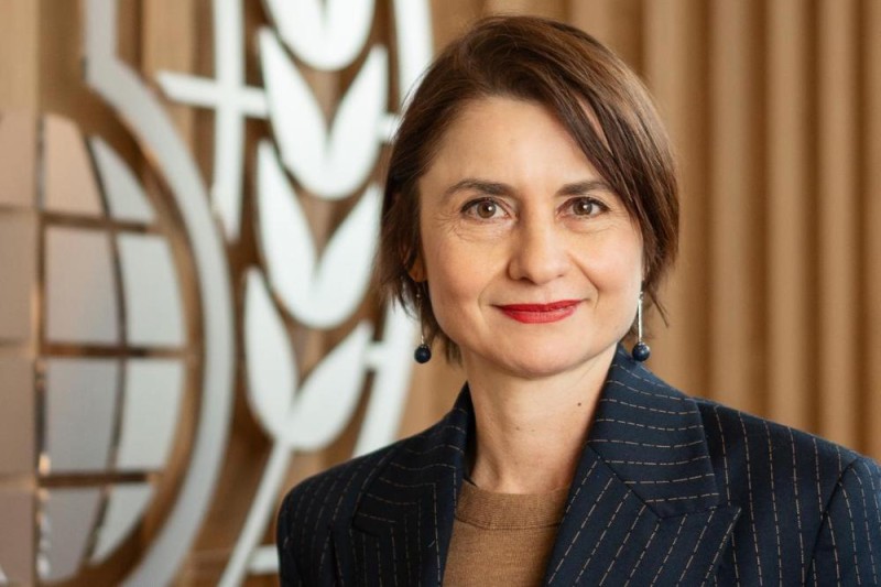 达拉菲奥尔被任命为禁化武组织下任总干事