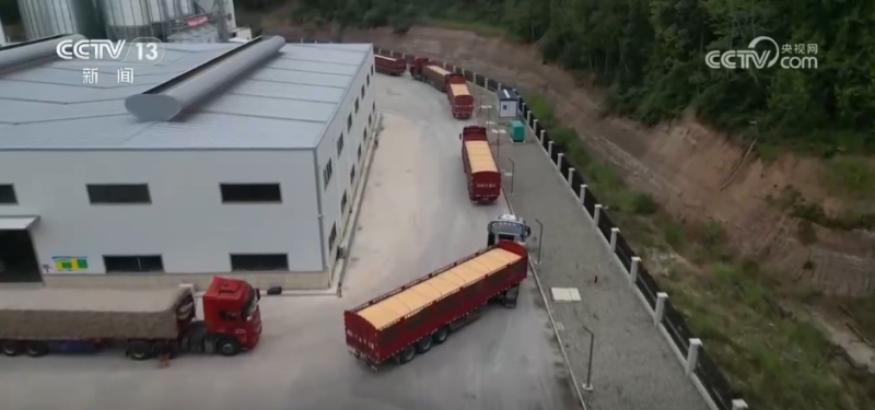 机器人上阵、强化服务……各地多措并举护航秋粮收购“加速跑”