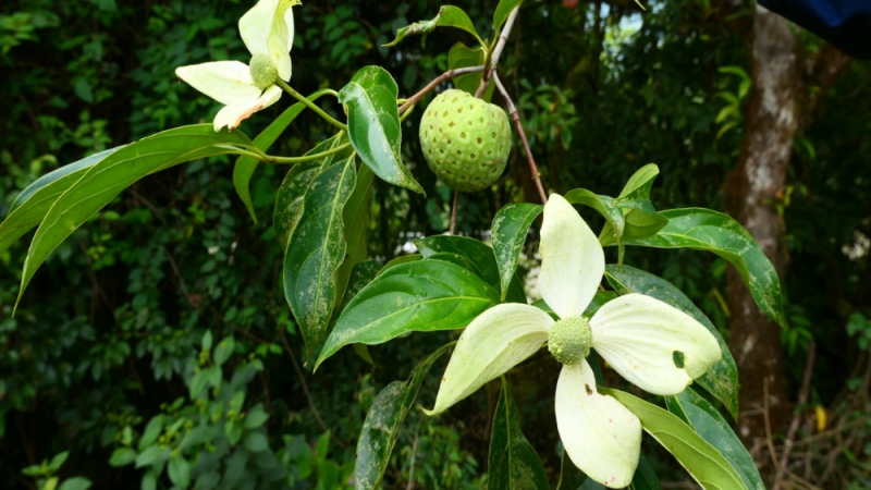 7点出发｜陌生男子深夜闯入熟睡婴儿房间，当地通报→