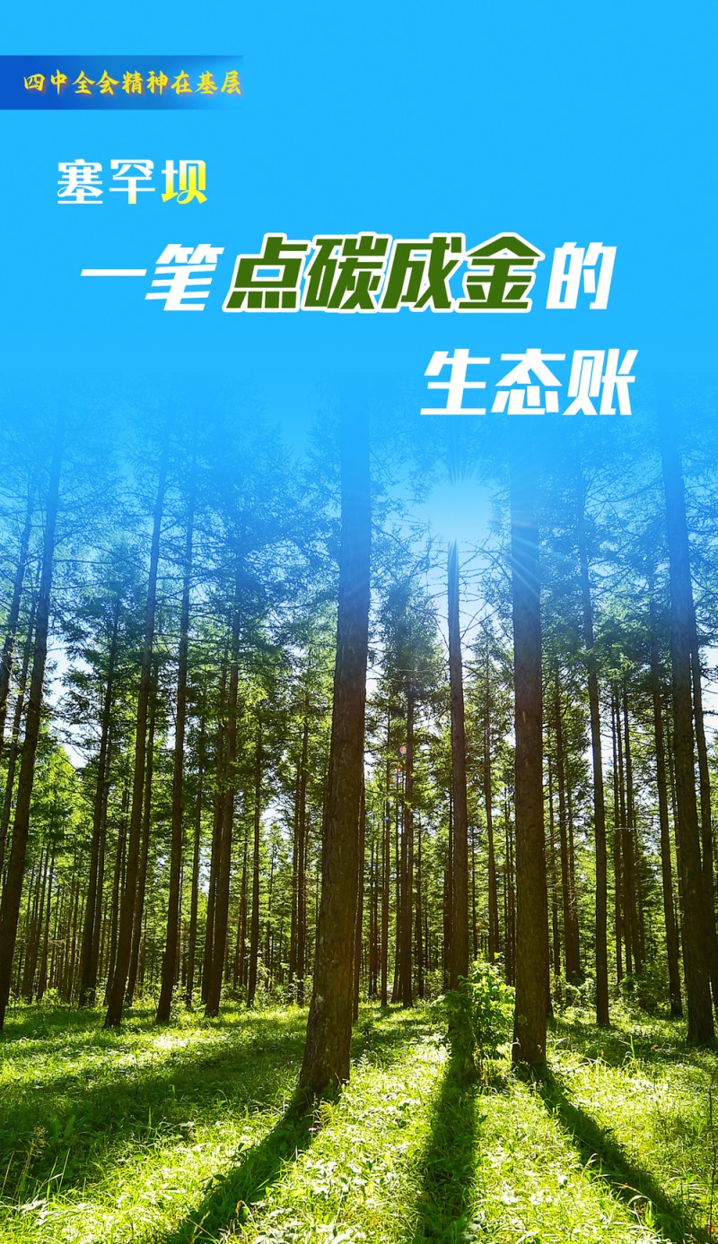11 四中全会精神在基层丨一笔点“碳”成“金”的生态账