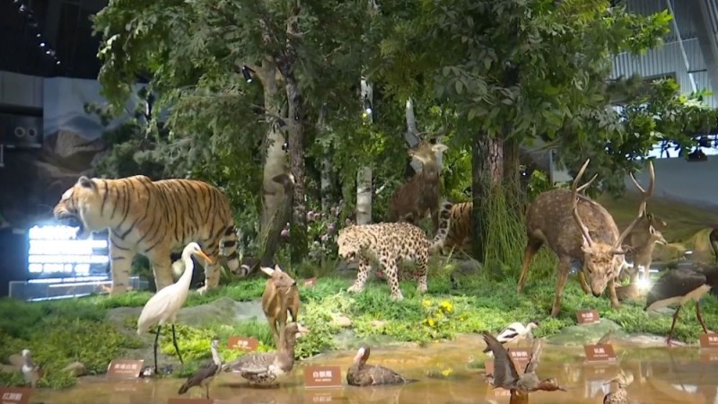 新华视点｜生态绘新卷 各地绘就绿色发展好风光