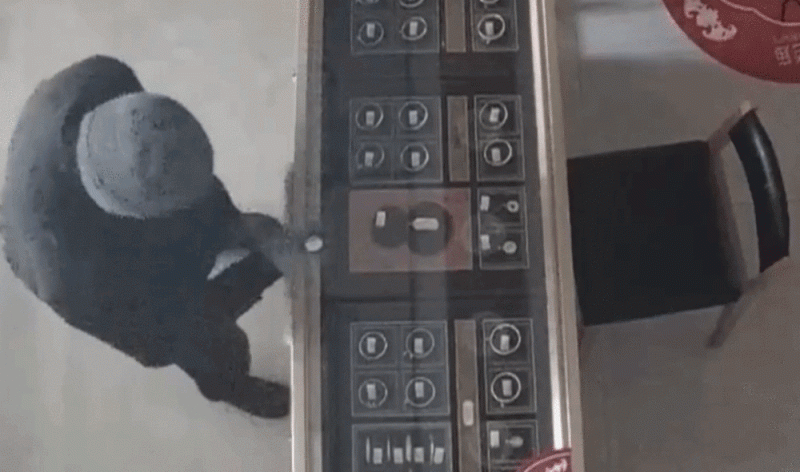 法治在线丨百万金饰被藏隐秘的角落 警方靠两分钟犬吠声破案