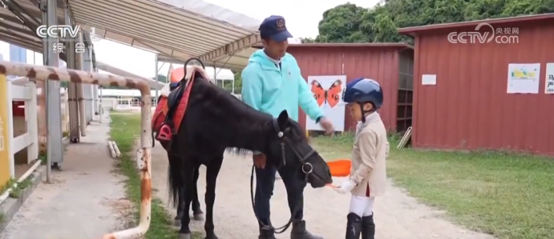 全运会点燃大湾区民众运动热情 “体育+”解锁跨城融合“健康密码”