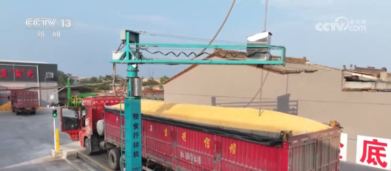 机器人上阵、强化服务……各地多措并举护航秋粮收购“加速跑”